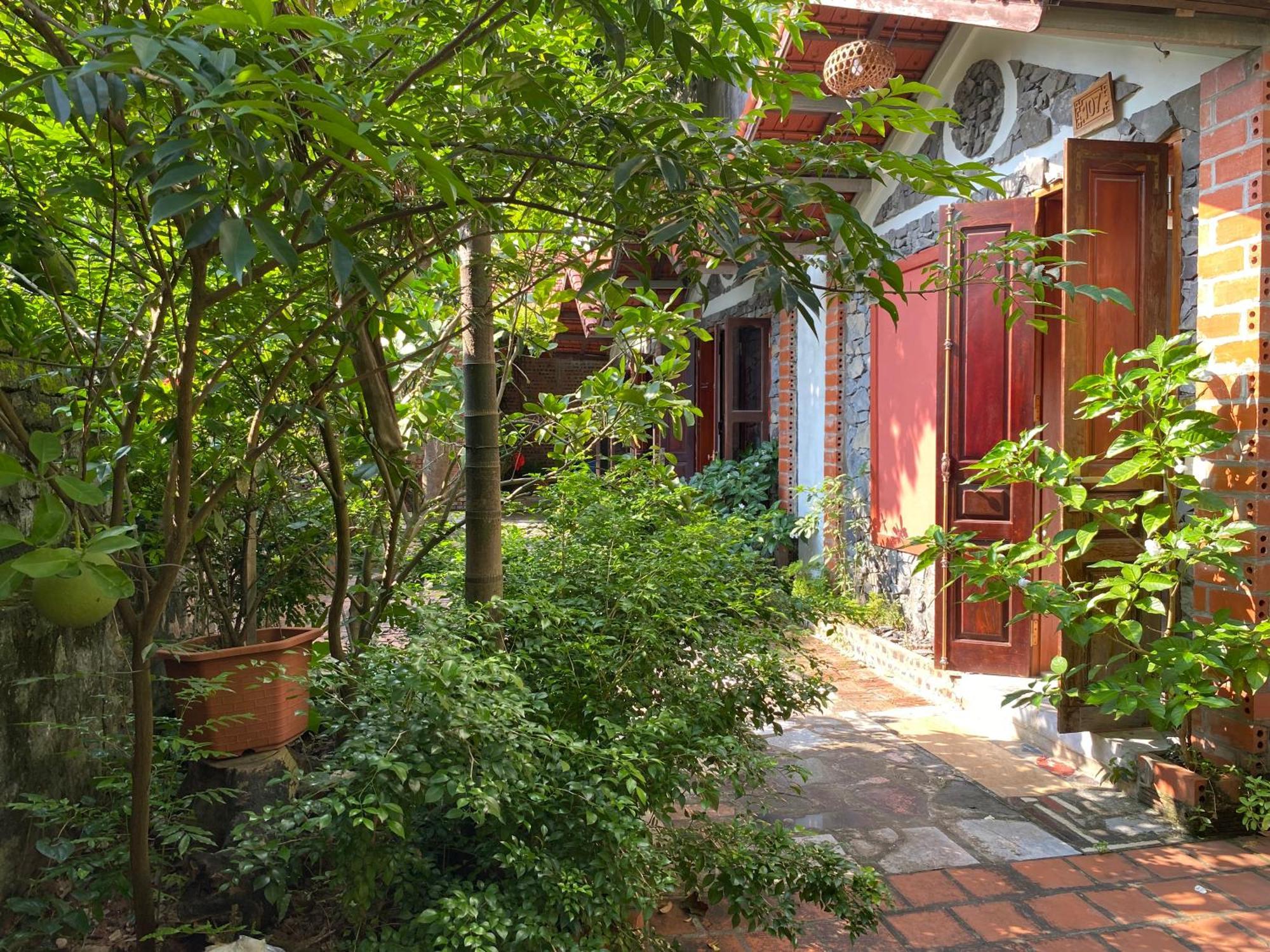 Tam Coc Ngo Dong Homestay Ninh Binh Exterior foto